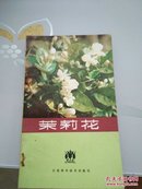 茉莉花