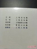 意韵：王晖 工笔花鸟集、孔玲 工笔花鸟集、朱红晖 工笔重彩山水画集、杜文斐重彩山水集、谢素琼 工笔人物集【一套五册全新正版未拆封】