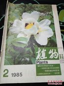 植物杂志 1985年第2期