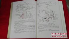 解剖学 V 神经、感觉器 改订第五版【精装本英日对照，每页都附有图片，1939年印刷】 吐凤堂书店