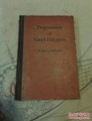 degradation  of vinyl polymers 烯类聚合物的降解作用 [英文版]