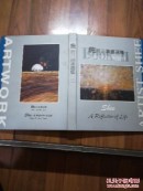 施哲三油画选集(生命的投影与回音)全二册(大16开精装本)