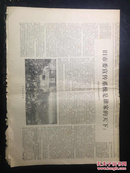 报纸—大会专刊1967.12.31第二十九期