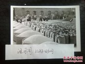 70年代新华社新闻照片稿～山西省昔阳县大寨大队在大旱之年获得丰收，晒粮装袋6