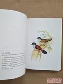 世界博物学经典图谱:亚洲鸟类 （中册）精装