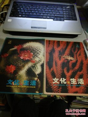 文化与生活 1980年2.3(2本和售)