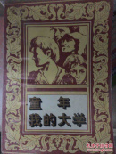 童年我的大学