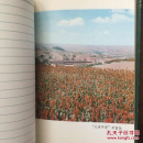 1977年农业学大寨记事本 有很多彩色插图 有撕损 品相如图