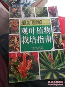 最新图解观叶植物栽培指南