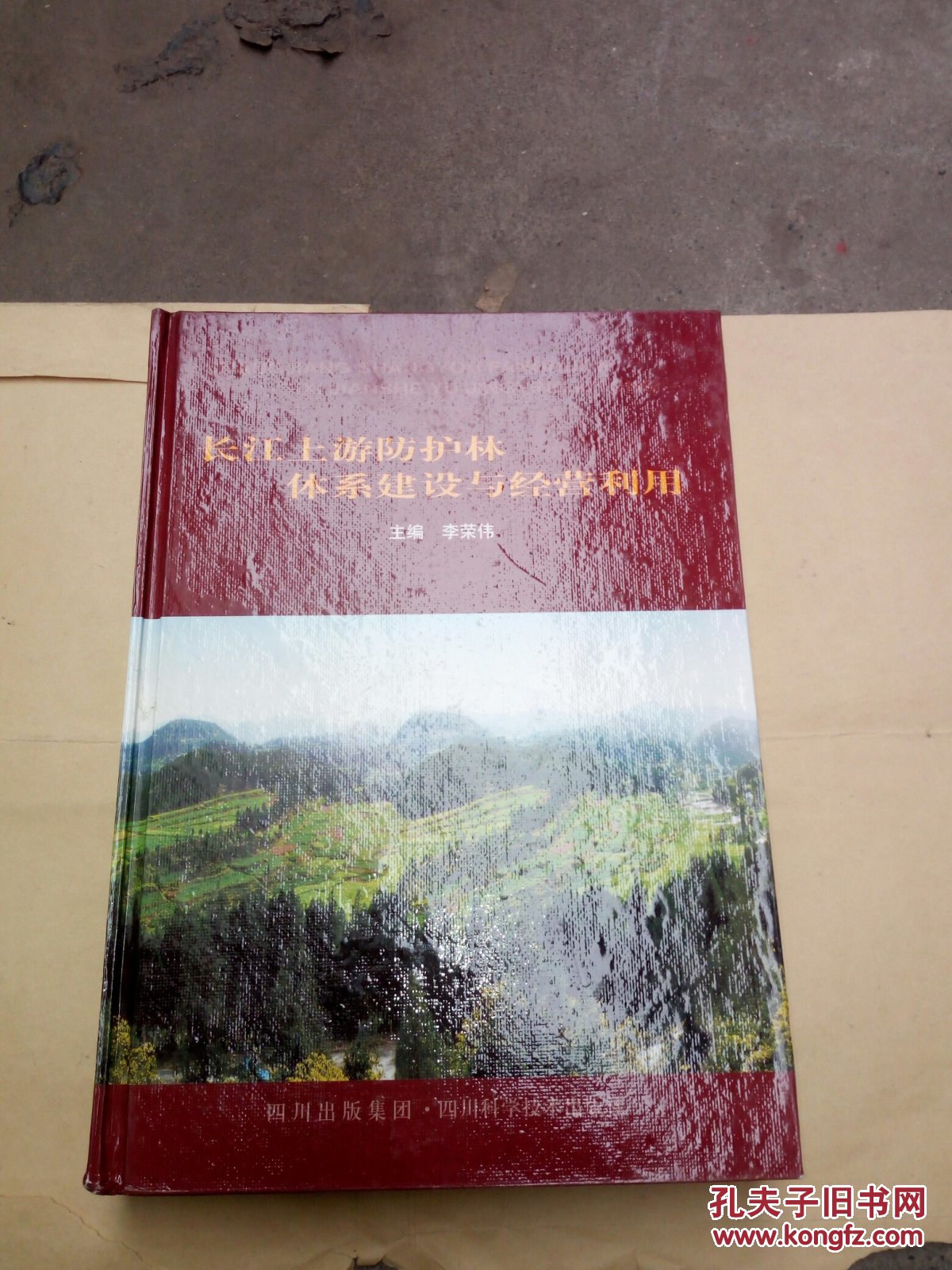 長(zhǎng)江上游防護(hù)林體系建設(shè)與經(jīng)營(yíng)利用（書目處黃斑）