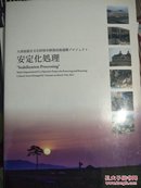 大津波被焚文化保存修复技术安定化处理【修复保护文物类书籍】中 日 英图文版