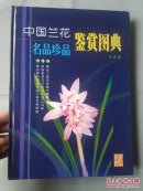 中国兰花，名品珍品，鉴赏图典，精装16开本