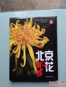 北京菊花【品好】