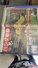 熊猫的故事