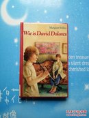 Willey Wie is David Dolores【精装本】