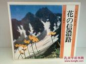 花の信浓路 (カラー版 自然の诗 ふるさと歳时记)