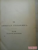 the american cyclopedia [vol.vIII.]