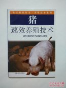 猪速效养殖技术（农民科普丛书·养殖技术系列）