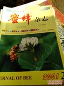 蜜蜂杂志:2001年全年12本合售