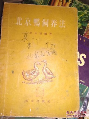 北京鸭饲养法(后面有  胃痛特效药  方)