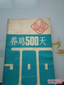 养鸡500天