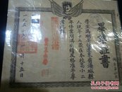 1951年特殊毛像毕业证书