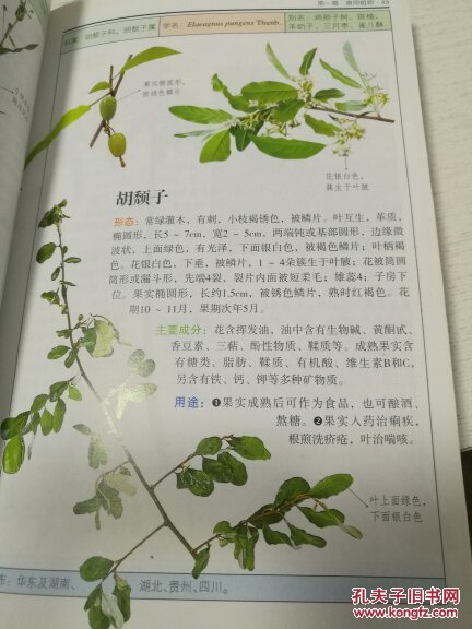 有益花木图鉴   DA3