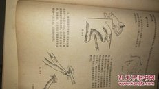 外科学讲义