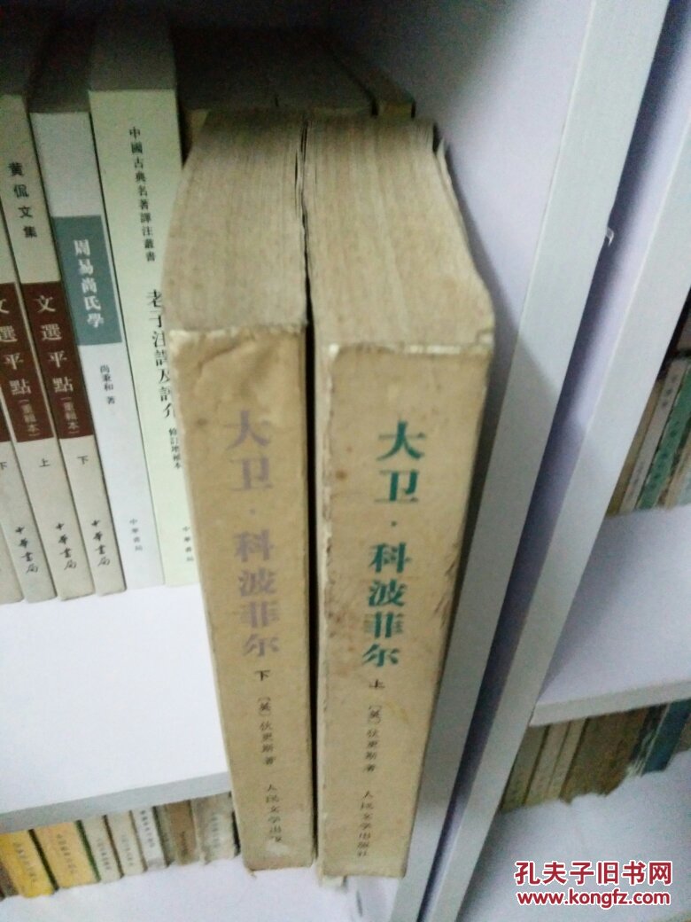 大卫·科波菲尔，全2册，包邮