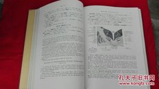 解剖学 V 神经、感觉器 改订第五版【精装本英日对照，每页都附有图片，1939年印刷】 吐凤堂书店