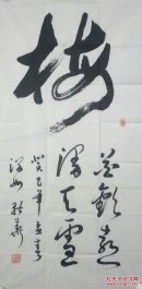 张新华：1965年，陕西洋县人，