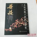 文玩菩提子把玩与鉴赏  铜版纸    不带光盘