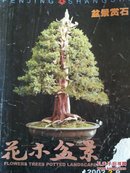 2002.2盆景赏石花木盆景2002.2 盆景作品选登  魏绪珊盆景作品  石品赏析