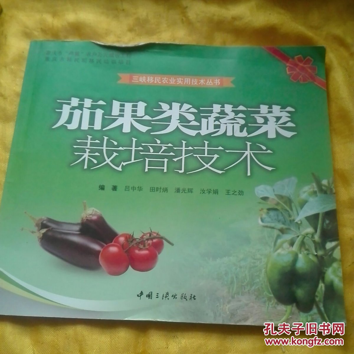 茄果類蔬菜栽培技術(shù)