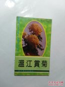 温江赏菊(架6一5)