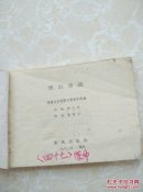 漂泊奇遇