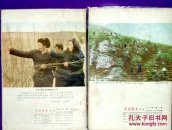 中国林业1966年第2.3期