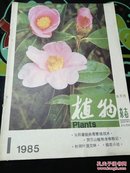 植物杂志 1985年第1期