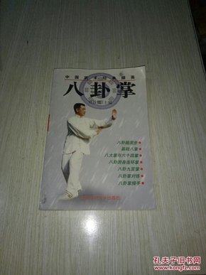 中国武术经典撷英--八卦掌