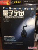 量子宇宙