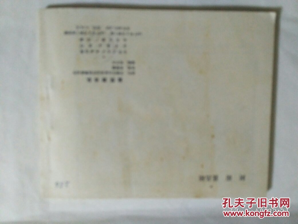盐民游击队