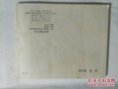 盐民游击队