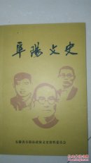 阜阳文史（第一辑）