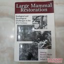 Large mammai restoration