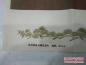 原袋展览照片（伟大领袖毛主席永远活在我们心中）63张全套1976年洗印黑白照片