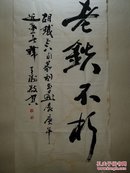 韩天衡 书法 尺寸104X54厘米 早期作品