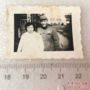 毛林