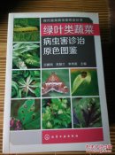 绿叶类蔬菜病虫害诊治原色图鉴