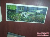 雀墩（1981年人美一版二印尺寸76*34厘米 黄永玉大师精品）