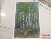 李亚桥油画杨树林2005年8月